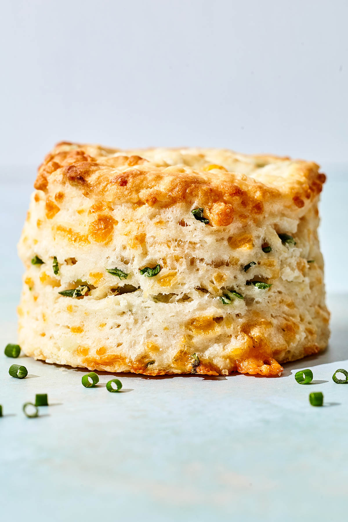 One of a batch of 12 cheddar chive biscuits.